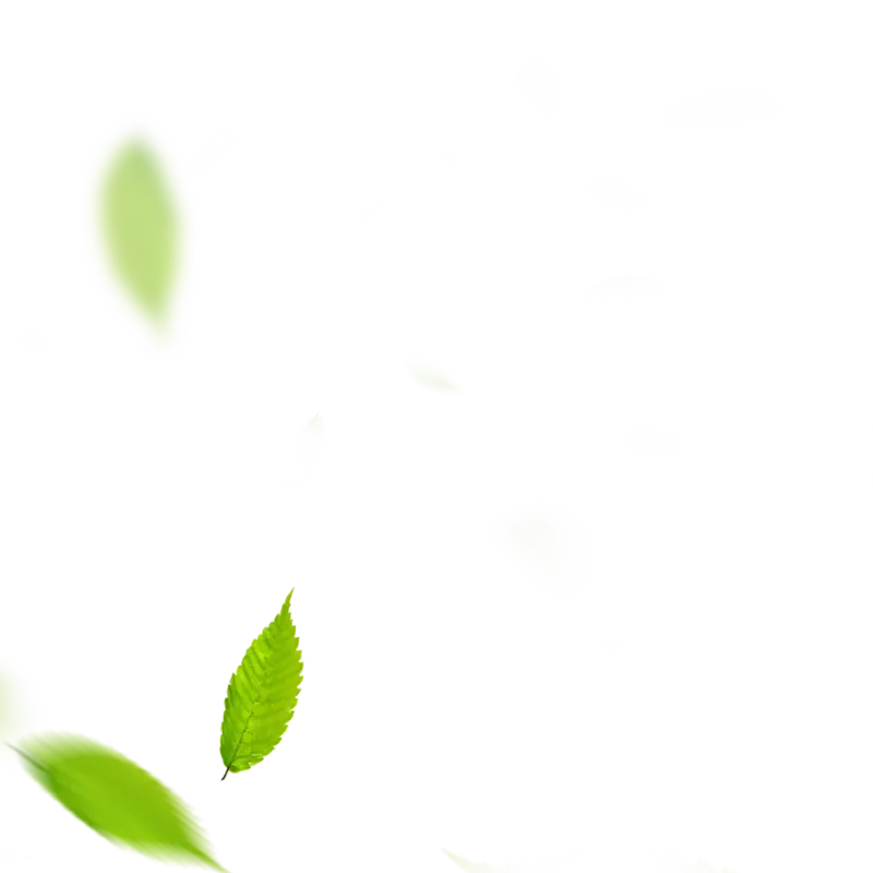 1748523366UP09yqKT.webp